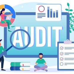audit1 audit1